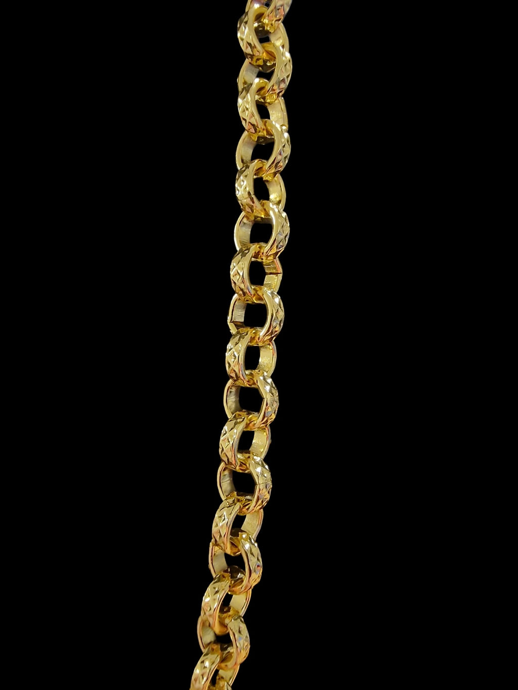 Gold Plated Belcher Chain & Large Dolphin Pendant